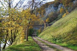 chemin d'automne