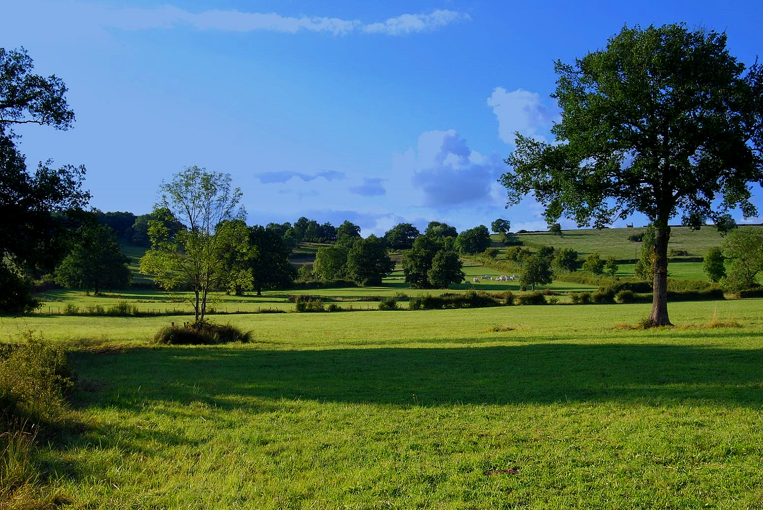 Photos de paysages naturels