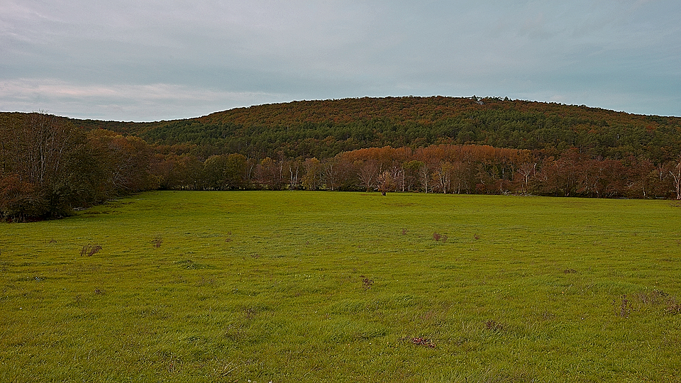 Paysage