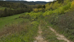 chemin