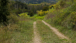 chemin
