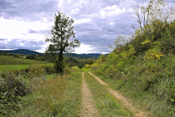 chemin