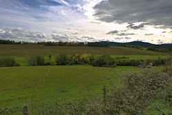 vallee