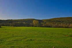 prairie