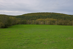 prairie
