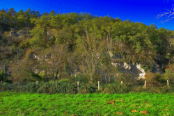 falaise