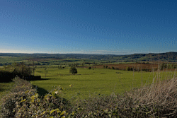 vallee